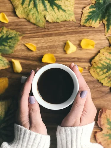 Vista 3 de Café costarricense tostado oscuro en grano entero (8.8 onzas) – Granos arábica 100% frescos, cultivados a la sombra y de origen local – Recuerdos