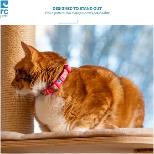 Vista 2 de RC Pets Kitty Breakaway - Collar para gatos, Cat-titude