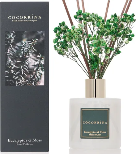 Vista 14 de Difusor de Varillas Cocorrína - Difusor Aromatizante con Aroma de Arroyo de Bambú con 8 Varillas, Difusor de Fragancia para Hogar, Decoración