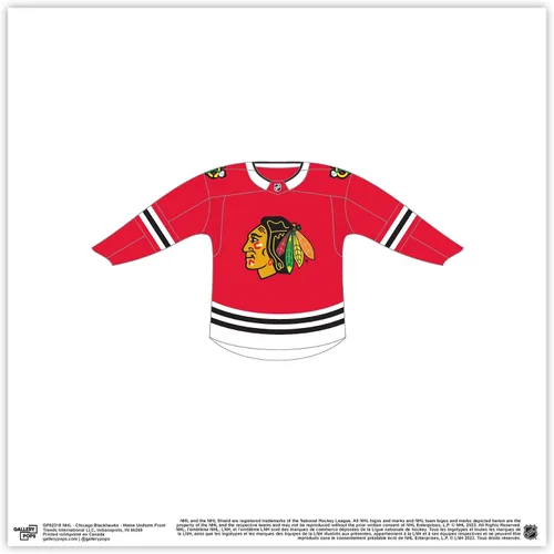 Vista 9 de Trends International Gallery Pops NHL Chicago Blackhawks - Póster de pared frontal de uniforme para el hogar, 12.00 x 12.00 pulgadas, versión