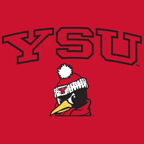 Vista 228 de NCAA Arch Logo, camiseta juvenil color del equipo, universidad - universidad