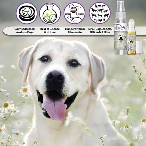 Vista 3 de The Blissful Dog Labrador Retriever Relax Roll-On Aromaterapia para perros