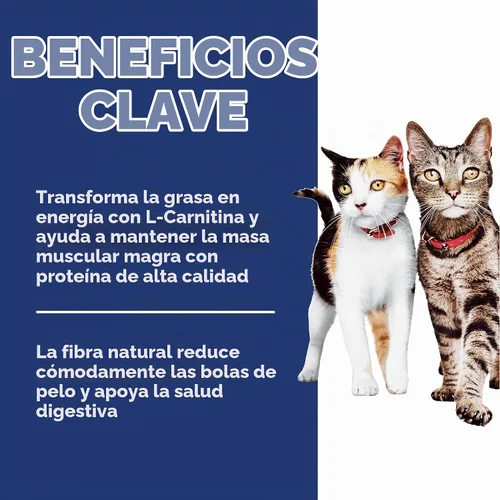 Vista 4 de Hill's Science Diet Alimento seco para gatos adultos de 1 a 6 beneficios múltiples # 1 recomendado por veterinarios, receta de pollo, 7 libras.