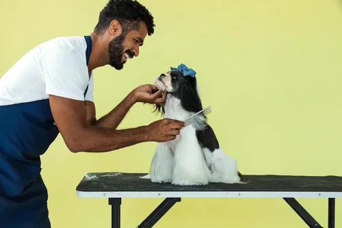Vista 2 de Andis 68550 Peine de aseo de mascotas de acero inoxidable – Herramienta de desenmascaramiento para nudos, tapetes y eliminación de vello suelto, 7.5