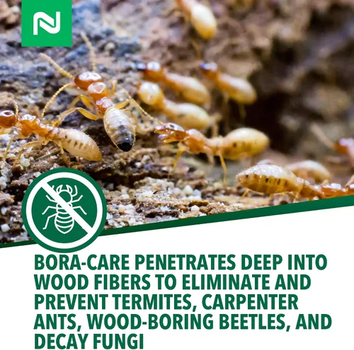 Vista 5 de Bora Care, de Nissus – 1 Jarra de borato natural para combatir las termitas NI1001