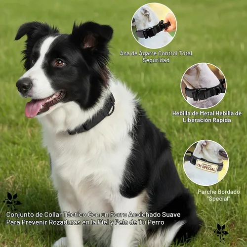 Vista 3 de KCUCOP Collar táctico para perro, collar militar con asa, collar K9 grueso, ajustable, resistente, para perros grandes y medianos (negro, L)