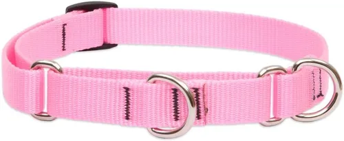 Vista 6 de LupinePet Basics - Collar martingala verde de 3/4 pulgadas, 14-20 pulgadas, para perros medianos y grandes