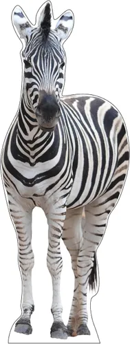 Vista 10 de Soporte de cartón de tamaño natural Impermeable Animales - Caballo - Izquierda