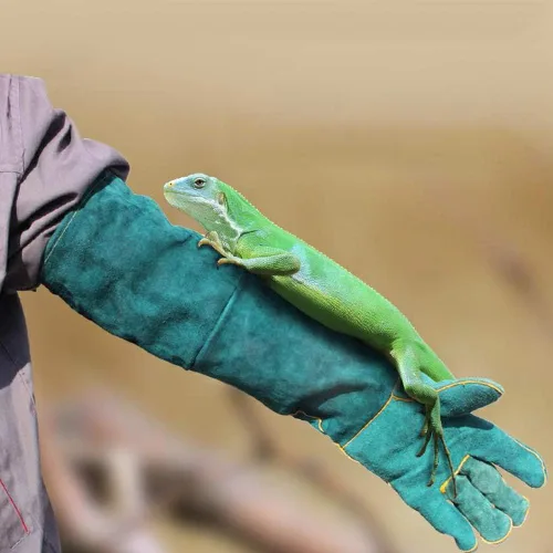 Vista 4 de Guantes antimordeduras, lona azul para entrenamiento de reptiles para mascotas, antimordeduras, alargan, guantes de protección de seguridad