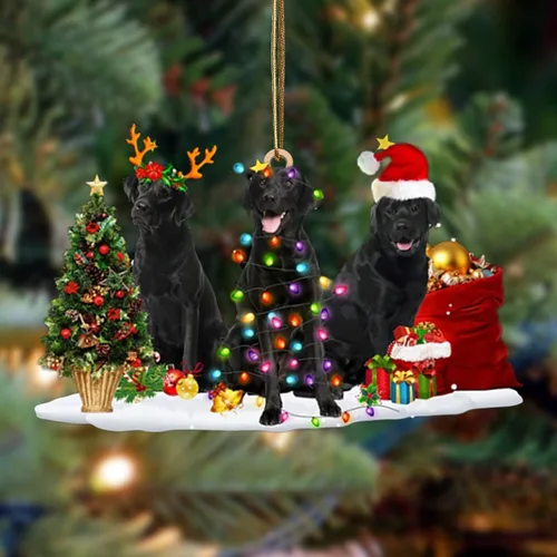 Vista 54 de Nazenti Adorno de Navidad personalizado con amigos Affenpinscher – Adorno de perro personalizado para amantes de las mascotas, acrílico plano