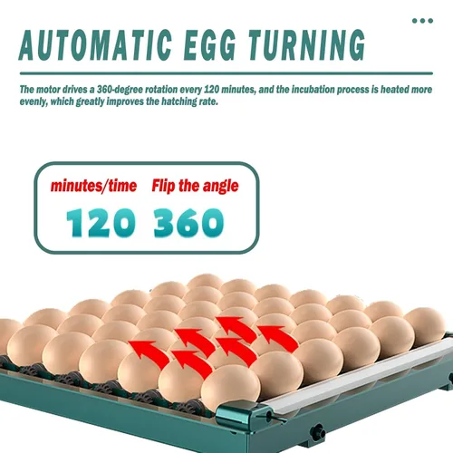 Vista 2 de 98 120 128 152 176 192 Incubadoras para incubación comercial y doméstica Auto Egg Turning LED Display Candler incorporado huevo y alarmas
