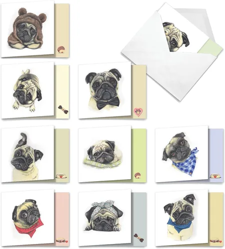 Vista 9 de The Best Card Company - 10 tarjetas de felicitación para perros en blanco para todas las ocasiones (4 x 5.12 pulgadas) - Boo El perro más lindo