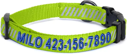 Vista 33 de Collar de entrenamiento reflectante para perros, de la marca Pawtitas, Negro