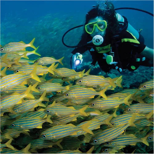 Vista 2 de Underwater Kinetics Luz de buceo SL4 eLED MK2