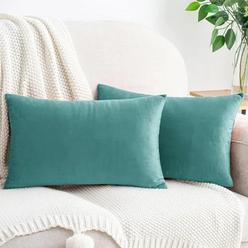 Vista 73 de HWY 50 fundas de almohada decorativas de terciopelo sólido para sofá, sala de estar., Terciopelo, gris, 20x20 pulgadas