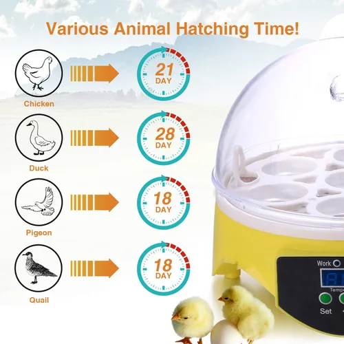 Vista 4 de Sailnovo Incubadora de huevos digital automática de pollo aves de corral incubadora de huevos, incubadoras para pájaros de codorniz de pato y ganso