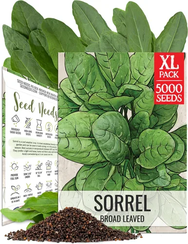 Vista 15 de Seed Needs Semillas de albahaca para plantar hierbas de albahaca tailandesa, reliquia sin OMG y sin tratar, cultiva un jardín de hierbas culinarias