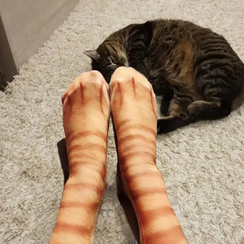 Vista 6 de 2 pares de calcetines divertidos, regalos para adultos, adolescentes, niños y niñas, calcetines de patas de animales novedosos