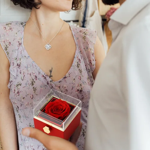Vista 4 de Rotate Preserved Red Rose Box Regalos con collar plateado Forever Flower Rose Navidad, cumpleaños, Día de San Valentín, regalos para mujer, mamá