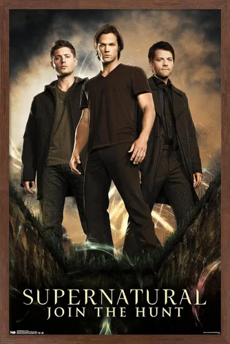Vista 15 de Trends International Supernatural - Póster de pared de grupo, 14.725 x 22.375 pulgadas, versión con marco de madera tipo granero