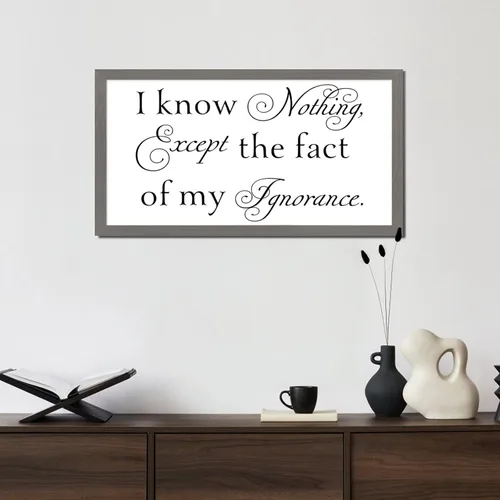 Vista 6 de Letrero de madera de estilo vintage de 12 x 22 pulgadas con texto positivo en inglés "I Know Nothing Except the Fact of My Ignorancance