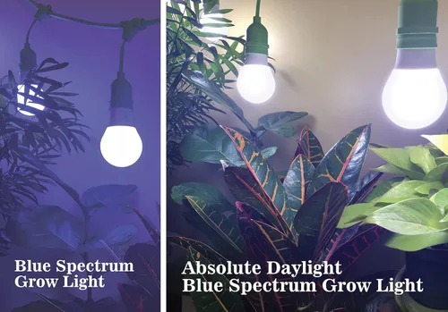 Vista 2 de Miracle LED Absolute Daylight Plus - Bombilla LED de crecimiento de espectro azul para siembra y comienzo, reemplazo de 150 W incandescente