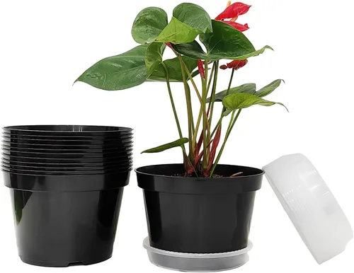 Vista 23 de Macetas de plástico negro RooTrimmer de 4/6/8 pulgadas, paquete de 15, plástico engrosado con agujeros de drenaje, para interior/exterior