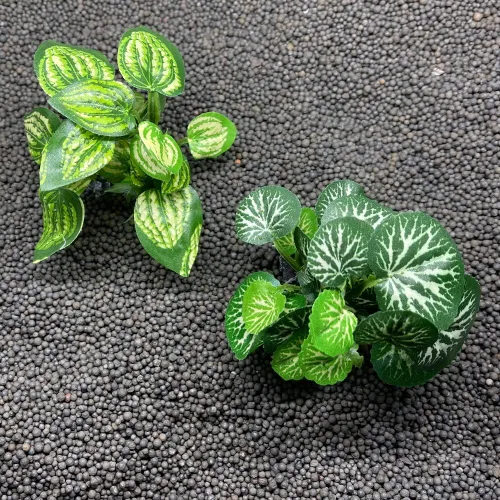 Vista 7 de Plantas de acuario Betta Fish Tank Decoraciones de 4 pulgadas/2 piezas Planta artificial de seda suave Goldfish Waterscape Fish Hides Snake
