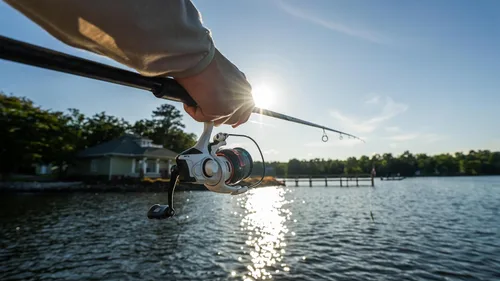 Vista 8 de Abu Garcia Max Pro Carrete de pesca giratorio