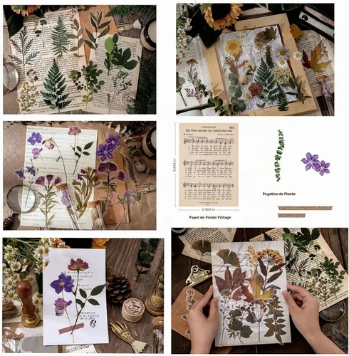 Vista 7 de Maxleaf Calcomanías de la Serie Botánica, 80 Calcomanías Grandes de Flores Secas Impermeables Transparentes, Calcomanías Florales de Plantas