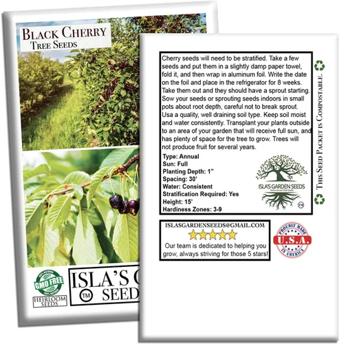 Vista 7 de Semillas de cerezo negro (Prunus serotina, cereza negra silvestre) – Más de 25 semillas sin OMG y reliquia, flores fragantes y frutas comestibles