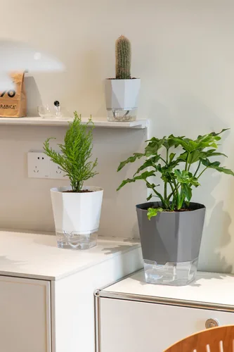 Vista 5 de Paquete de 6 macetas de plástico de 5 pulgadas con autorriego para interiores, modernas macetas decorativas para suculentas, aloe, hierbas, violetas