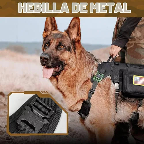 Vista 5 de Forestpaw - Juego de arnés táctico para perro, collar y correa elástica, S, color negro