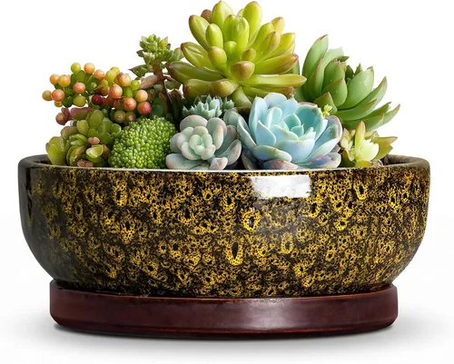 Vista 42 de Succulent Pots, 6 Inch Ceramic Bonsai Pots with Saucer, Blue