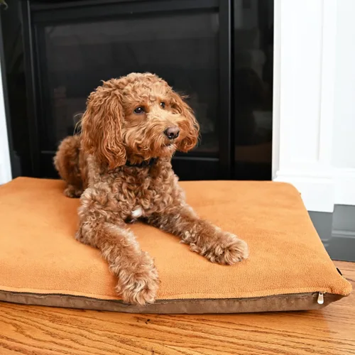Vista 4 de Cama ortopédica impermeable de espuma viscoelástica para mascotas de 47 x 29 x 4 pulgadas, color marrón Sudán, para jaula de perro extragrande