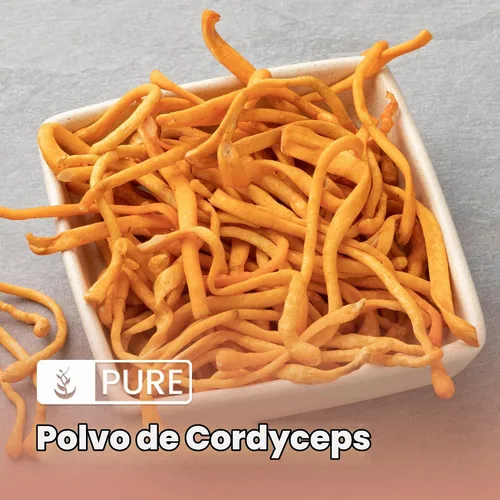 Vista 5 de Ingredientes originales puros, extracto de Cordyceps, 8 onzas