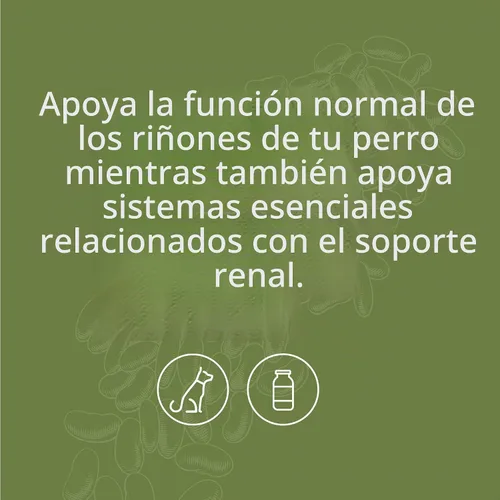 Vista 3 de Proceso estándar - Soporte renal canino - Salud renal para perros - 3.88 oz