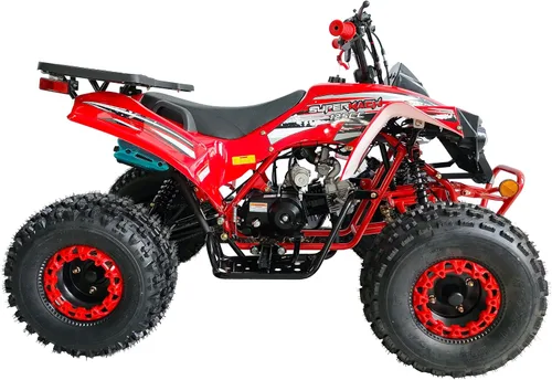 Vista 2 de HHH 125cc ATV Utilitario para Jóvenes con Marcha Atrás, Transmisión Completamente Automática, 4 Ruedas, Neumáticos Grandes de 19"/18" (Verde)