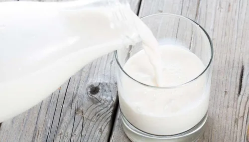 Vista 8 de Hoosier Hill Farm Leche seca instantánea sin grasa en polvo, 1 libra (paquete de 1)