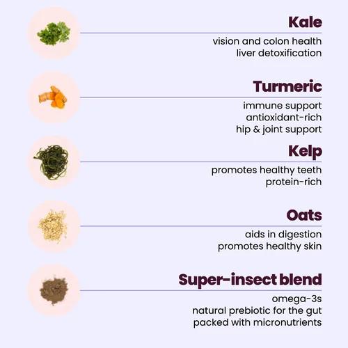 Vista 3 de Comida para perros, proteína de grillo, alternativa vegana y vegetariana de alimentos para perros, a base de insectos, probióticos, superalimentos