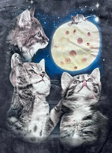 Vista 2 de The Mountain Camiseta Three Kitten Cheese Moon