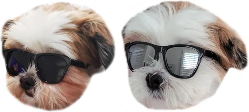 Vista 16 de G014 Dog Cat Pet - Gafas de sol de los años 80 para razas pequeñas de hasta 15 libras (paquete de 2 unidades, negro + espejo negro-azul)