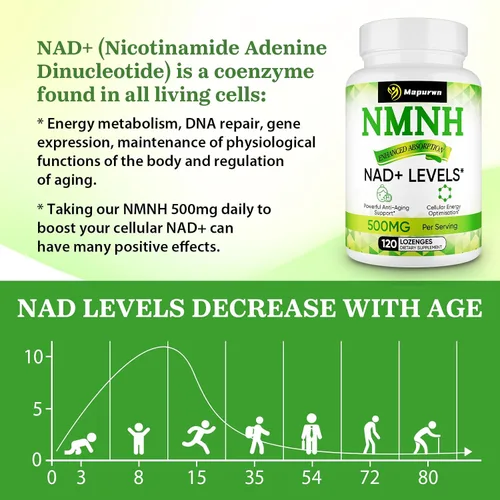 Vista 4 de NMNH (mononucleótido de dihidronicotinamida), suplemento de NMN, 500 mg por porción de suplemento NAD para aumentar los niveles de NAD+ a medida que