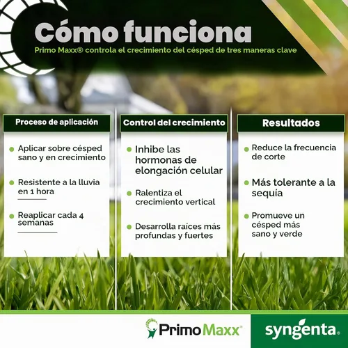 Vista 4 de Regulador de crecimiento de plantas Primo Maxx