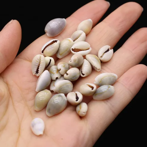 Vista 2 de Acuario de concha natural para pecera, cuentas hechas a mano para hacer joyas, manualidades, pulsera, accesorio
