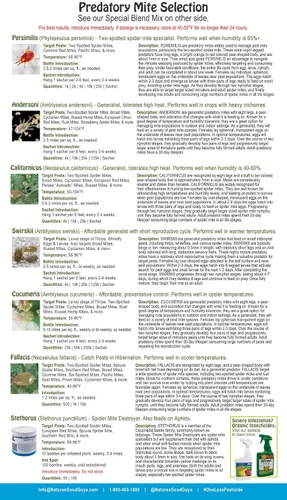Vista 4 de 2000 ácaros predadores adultos vivos - Mezcla especies predadoras de ácaros para control de arañas
