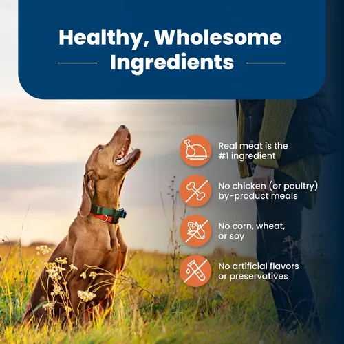 Vista 5 de Blue Buffalo Life Protection Formula Large Breed Adult Dry Dog Food, promueve la salud de las articulaciones y los músculos magros, hecho