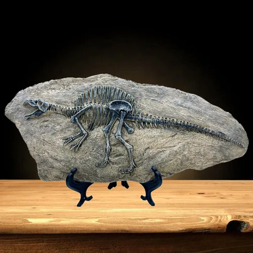 Vista 8 de XINDAM Modelo de estatua de fósil de dinosaurio de resina, esqueleto simulado para exhibición en hogar y oficina, caja decorativa de manualidades
