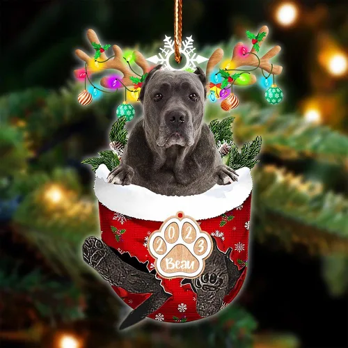 Vista 129 de NAZENTI Adorno Navideño de Bolsillo Personalizado de Affenpinscher en la Nieve, Adorno de Forma Acrílica de Perro, Adorno de Navidad 2023, Adorno