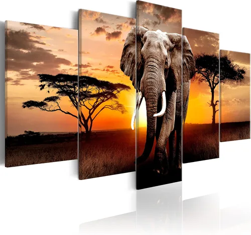 Vista 59 de artgeist Lienzo acústico para pared, diseño de África, 40 x 20 pulgadas, 5 piezas con impresión de sonido de espuma acústica, sala de arte de África